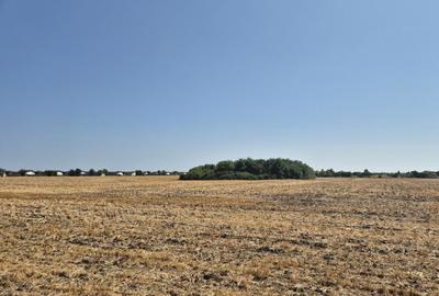 Teren Construcții intravilan de 4428 mp, în Balotești - 2