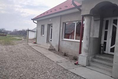 Spațiu comercial, de 125 mp, în Biharia - 10