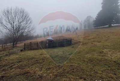 Teren de 26232 mp, în Dorna-Arini - 2
