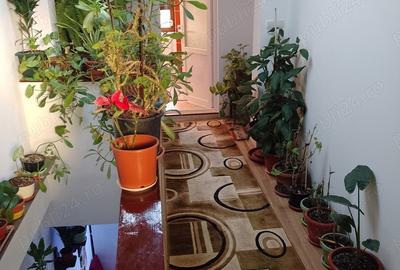 Inchiriez camera Timisoara - 6