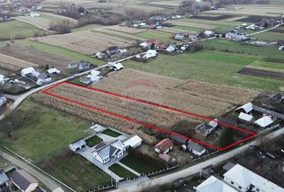 Casa de vanzare in Com Fratautii Noi - 5