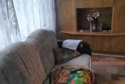 Casă în Scărișoara Nouă - 3