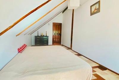 Casa de vacanta in Baiut - 7