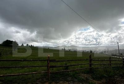 Teren de vanzare intravilan in Poiana Stampei, 2 hectare - 2
