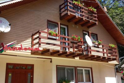 Hotel/Pensiune, de 6 mp, în Lepșa - 11