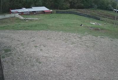 Dorohoi, Botosani Dorohoi, Botosani - 6