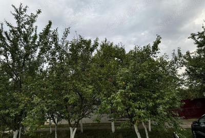 Casa de vanzare situata in localitatea Nadab, judetul Arad - 2