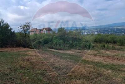 Teren Construcții intravilan de 5700 mp, în Sud-Vest - 8