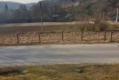 Teren de 7000 mp, în Ștubeie Tisa - 4