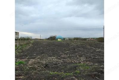 Teren de vanzare 2900 mp Fundatura, Cluj Napoca - 2