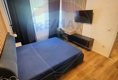 Apartament cu 2 camere semidecomandat, mobilat în Central - 4