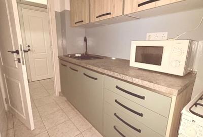 Apartament cu 2 camere semidecomandat, mobilat în Unirii - 7