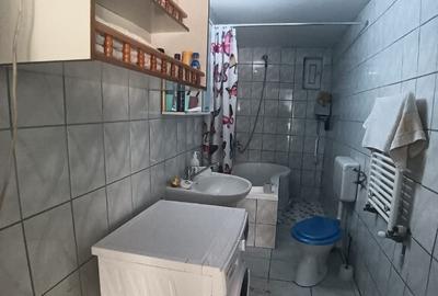 Tautii de Sus, casa caramida,7,5 ari teren - 11