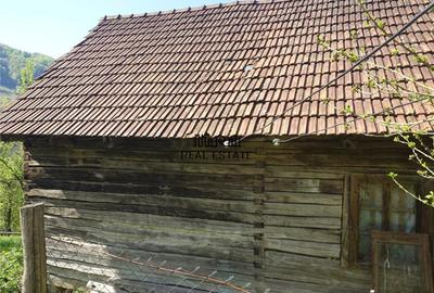 Teren intravilan si cladire in Apuseni, Blajeni, Hd - 1