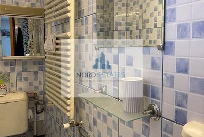 Aeroport Baneasa-Metrou, Apartament in vila, Garaj, Curte, Centrala - 7