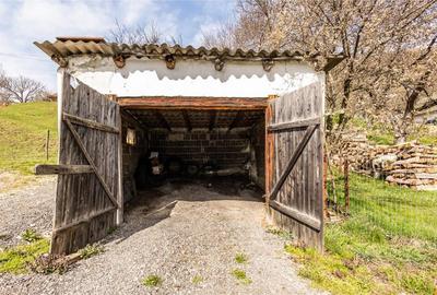 FILM! Pe domeniu de 6.500 mp teren, casa parinteasca, in mag - 10