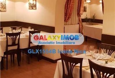RESTAURANT DE VANZARE CISMIGIU POSIBILITATE RATE - 16