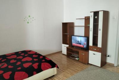 Garsonieră decomandată în Brazda lui Novac - 5