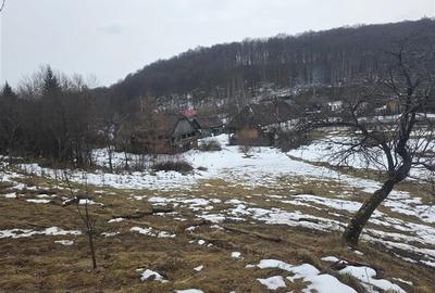 Teren 1812 mp, intravilan , Sovata, jud, Mures - 7