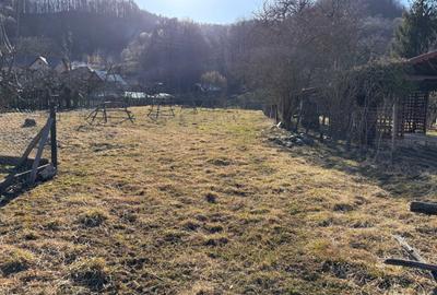 Spațiu comercial, în Bradu