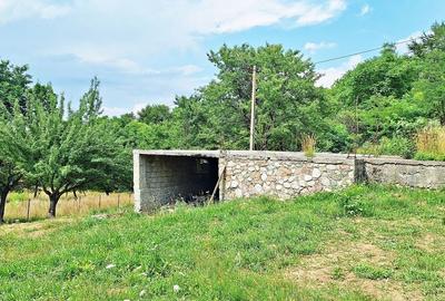 Bran- Predelut, 1000mp teren pentru casa de vacanta, pret 45 euro/mp - 6