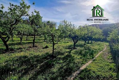 Spațiu comercial, în Nișcov - 4