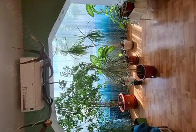 Apartament cu 2 camere semidecomandat în Soarelui - 8