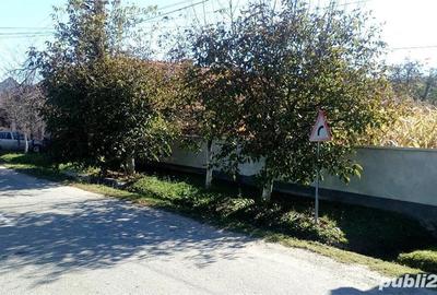 Casă cu 5 camere cu Teren 20142 Mp în Gladna Română - 10