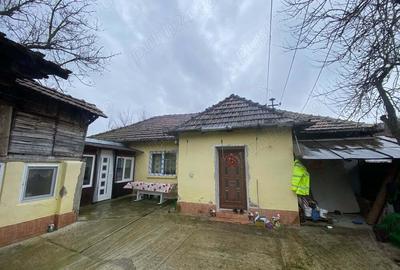 Vand casa in Pestisu Mic - 2