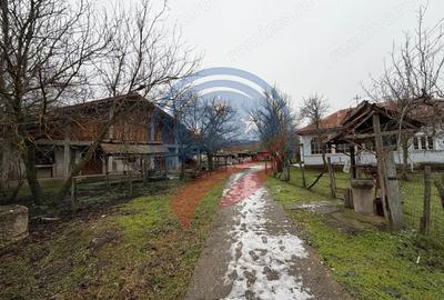 Casă cu 3 camere cu Teren 2540 Mp în Vulpeni - 4