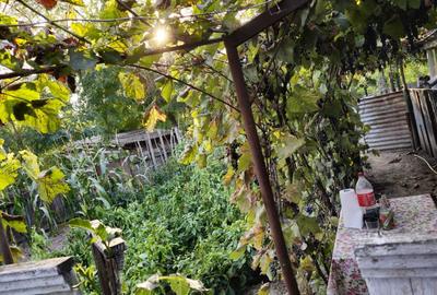 Casă cu 4 camere în Chilia Veche - 8