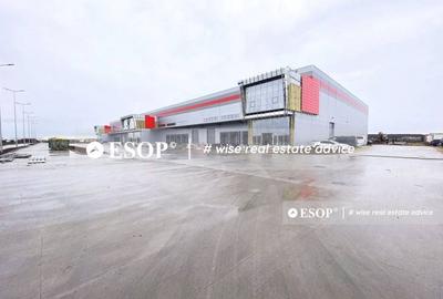 Spațiu comercial, de 3,000 mp, în Dragomirești-Deal - 2