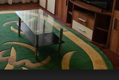 Apartament cu 2 camere decomandat în Gorjului - 8