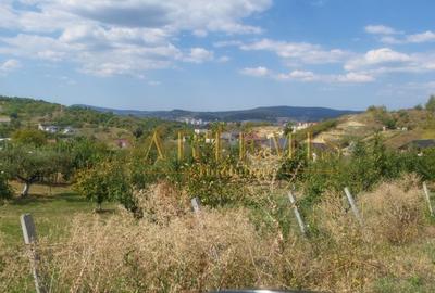 Teren intravilan 1279 mp , Valea Budacului - 4