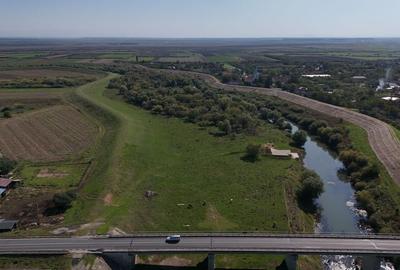 Teren intravilan in Zerind - 9