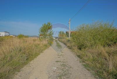Teren de vanzare 1,000mp Cristian  - intravilan - 5