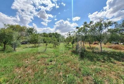 Casă cu 3 camere cu Teren 4600 Mp în Plopi - 1