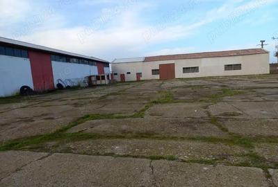 Spațiu comercial, de 950 mp, în Mangalia - 5