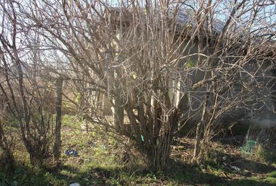 Casă cu 3 camere în Jilavele - 7