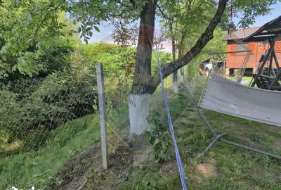 Casă cu 3 camere cu Teren 1268 Mp în Săpânța - 2