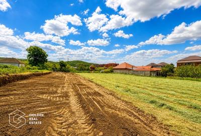 Teren agricol intravilan de 1402 mp, în Șiria - 3