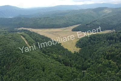 Teren de vanzare in apropiere de Transfagara?an ?i Valea Valsanului. - 10