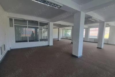 Inchiriez demisol, parter si 2 etaje, Pitesti, Craiovei, str. Darzu - 5