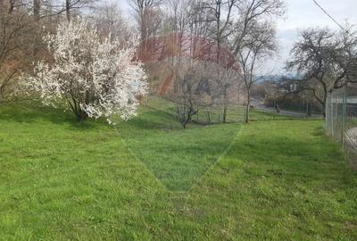 Casă individuală cu 7 camere cu Teren 3580 Mp în Tohănița - 38