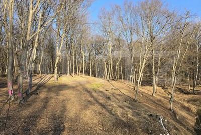 Teren de 1100 mp, în Făget - 3