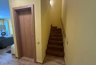 Apartament parter și mezanin  cu parcare subterana in Marasti - 13