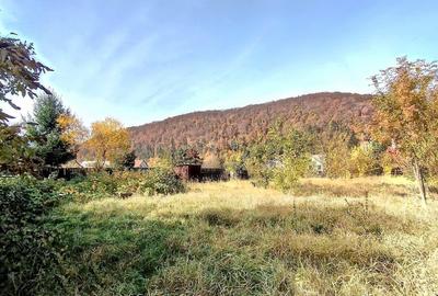 Teren Construcții intravilan de 660 mp, în Bunloc - 2