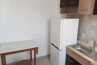 Garsonieră decomandată în Roșu - 4