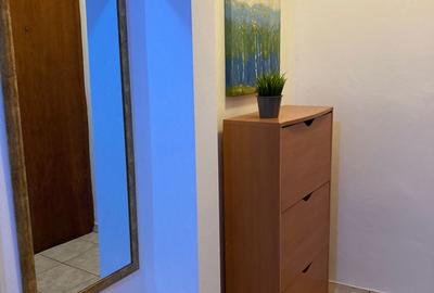 Apartament cu 3 camere semidecomandat, mobilat în Favorit - 12