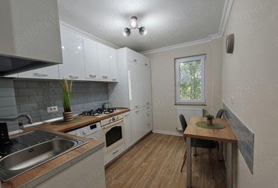 Apartamenet 2 camere de inchiriat Noua - 3